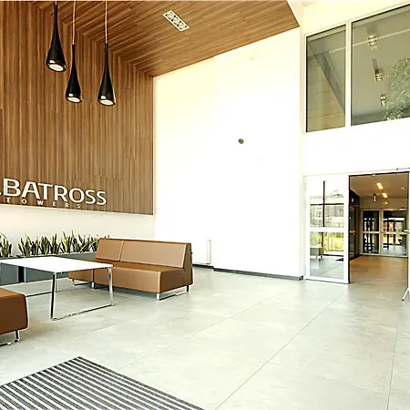 Albatross *